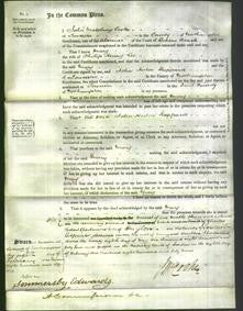 Court of Common Pleas - Mary Lee-Original Ancestry