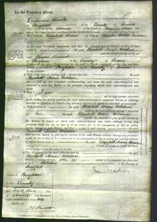 Court of Common Pleas - Elisabeth Marie Wilshere-Original Ancestry