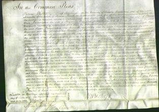 Court of Common Pleas - Sarah White, Philadelphia Page and Harriott Adams-Original Ancestry