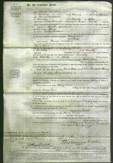 Court of Common Pleas - Mary Jones-Original Ancestry