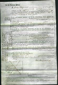 Court of Common Pleas - Madeline Warwick Steel-Original Ancestry