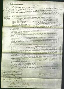 Court of Common Pleas - Mary Ann Broughtonbrow-Original Ancestry