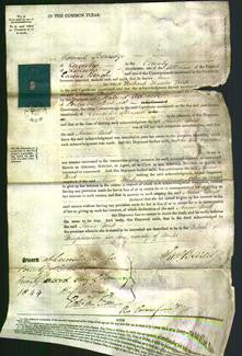 Court of Common Pleas - Anne Bird-Original Ancestry