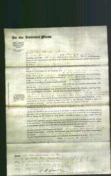 Court of Common Pleas - Ann Millington-Original Ancestry