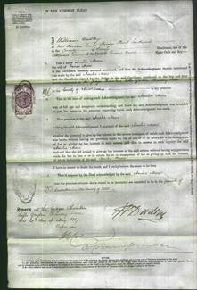 Court of Common Pleas - Amelia Moore-Original Ancestry