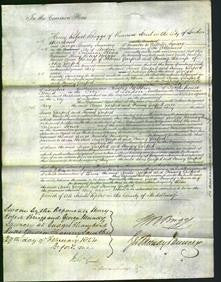Court of Common Pleas - Anne Garford-Original Ancestry