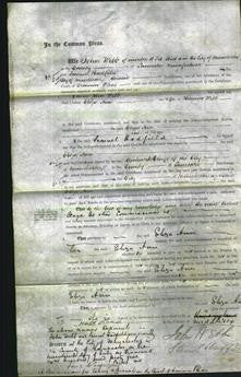 Court of Common Pleas - Eliza Ann Webb-Original Ancestry