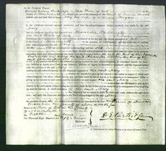 Court of Common Pleas - Mary Morgan-Original Ancestry