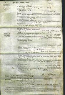 Court of Common Pleas - Elizabeth Lawford-Original Ancestry