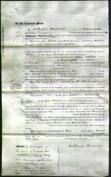 Court of Common Pleas - Jane Brereton and Mary Cowap-Original Ancestry