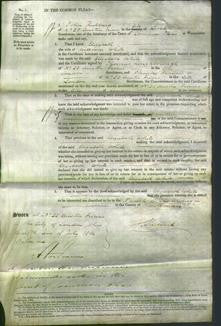 Court of Common Pleas - Elizabeth White