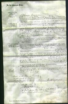 Court of Common Pleas - Mary Amps-Original Ancestry