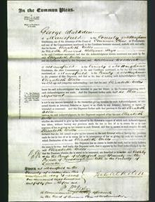 Court of Common Pleas - Elizabeth Wells Keys-Original Ancestry