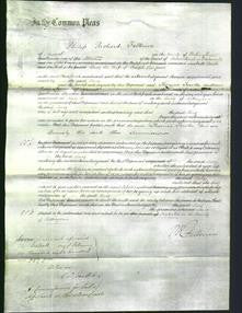 Court of Common Pleas - Lucy Simpson-Original Ancestry