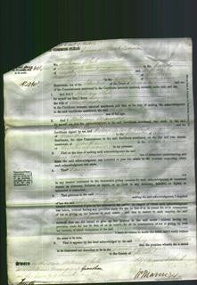 Court of Common Pleas - Lucy Jane Brewster-Original Ancestry
