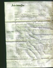 Court of Common Pleas - Elizabeth Gardiner-Original Ancestry