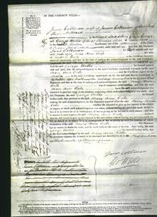 Court of Common Pleas - Mary Ann Cole-Original Ancestry