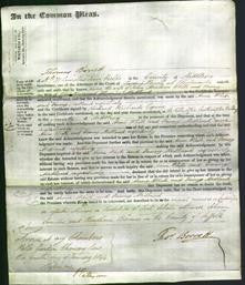 Court of Common Pleas - Anne White wife of Fanny Medland-Original Ancestry