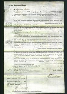 Court of Common Pleas - Peace Biglin-Original Ancestry