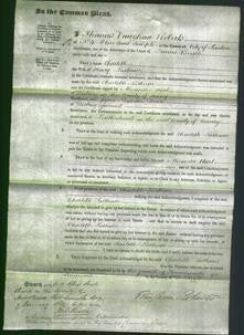 Court of Common Pleas - Charlotte Latham