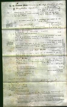 Court of Common Pleas - Kezia Burton-Original Ancestry
