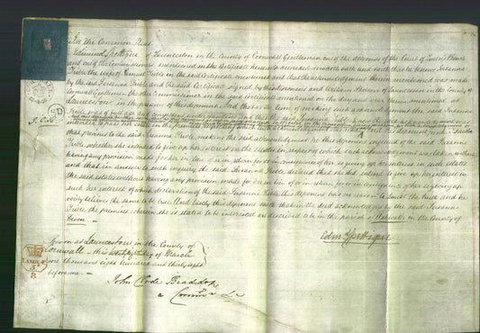 Court of Common Pleas - Susanna Trible