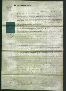 Court of Common Pleas - Sophia Sarah Tomkins-Original Ancestry