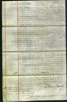 Court of Common Pleas - Jane Gibbons and Hannah Finlay-Original Ancestry