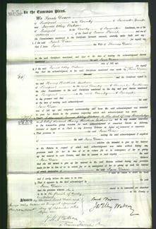 Court of Common Pleas - Jane Dixon-Original Ancestry