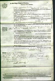 Court of Common Pleas - Sarah King-Original Ancestry