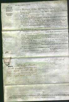 Court of Common Pleas - Esther Grainger-Original Ancestry