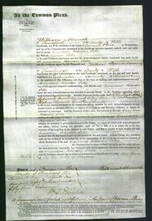 Court of Common Pleas - Caroline Rhodes Pike-Original Ancestry