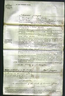 Court of Common Pleas - Lucy Hindes-Original Ancestry