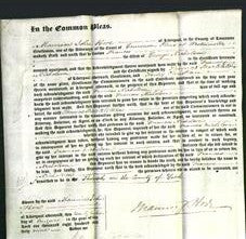 Court of Common Pleas - Frances Nicholson-Original Ancestry