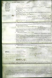 Court of Common Pleas - Sarah Emily Reid-Original Ancestry