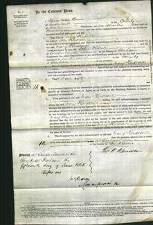 Court of Common Pleas - Mary Kendall-Original Ancestry