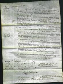 Court of Common Pleas - Harriet Heale-Original Ancestry