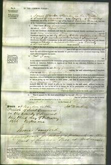 Court of Common Pleas - Mary Georgiana King-Original Ancestry