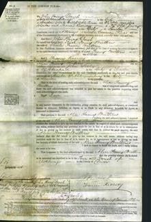 Court of Common Pleas - Alice Fanny Butteris-Original Ancestry