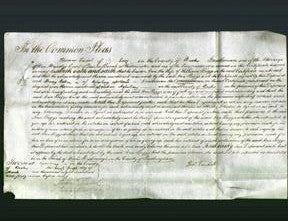 Court of Common Pleas - Ann Biggs-Original Ancestry