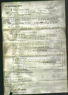 Court of Common Pleas - Mary Elizabeth Phillips Wilmott-Original Ancestry