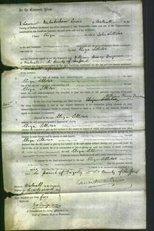 Court of Common Pleas - Eliza Sillitoe-Original Ancestry