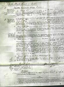 Court of Common Pleas - Sarah Shaw-Original Ancestry