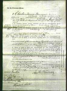 Court of Common Pleas - Mary Lloyd, Elizabeth Lloyd and Margaret Jones-Original Ancestry