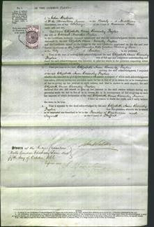 Court of Common Pleas - Elizabeth Ann Barnsley Paglar-Original Ancestry