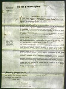 Court of Common Pleas - Lettice Poole-Original Ancestry