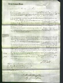 Court of Common Pleas - Elizabeth Wilson-Original Ancestry