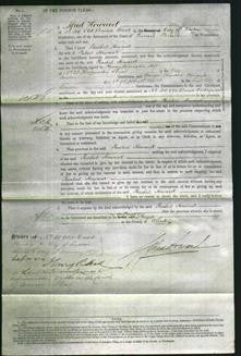 Court of Common Pleas - Rachel Howard-Original Ancestry