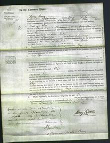 Court of Common Pleas - Eliza Serjeant-Original Ancestry