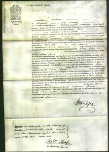Court of Common Pleas - Jane Gair-Original Ancestry